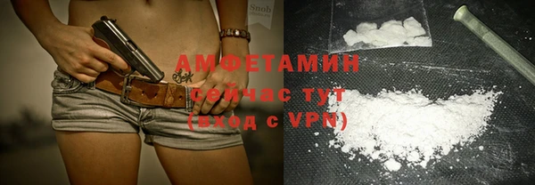 прущие грибы Богородицк