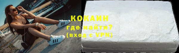 прущие грибы Богородицк