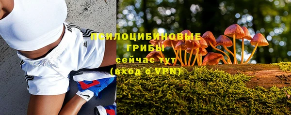 МДМА Богданович