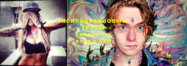МДМА Богданович