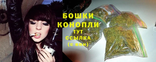 прущие грибы Богородицк