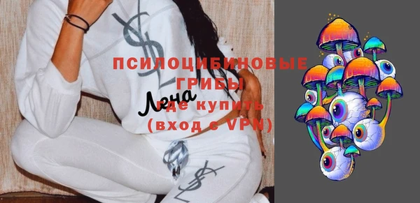 прущая мука Богородск