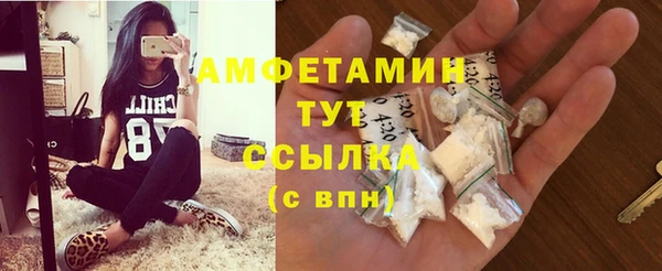прущие грибы Богородицк