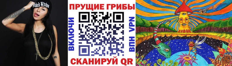 Галлюциногенные грибы Psilocybine cubensis  Демидов 